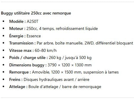 Buggy 250cc avec Remorque