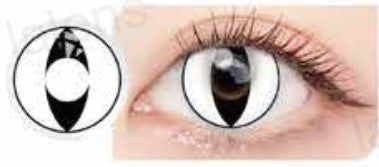 Lentilles de contact LALENS