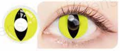 Lentilles de contact LALENS