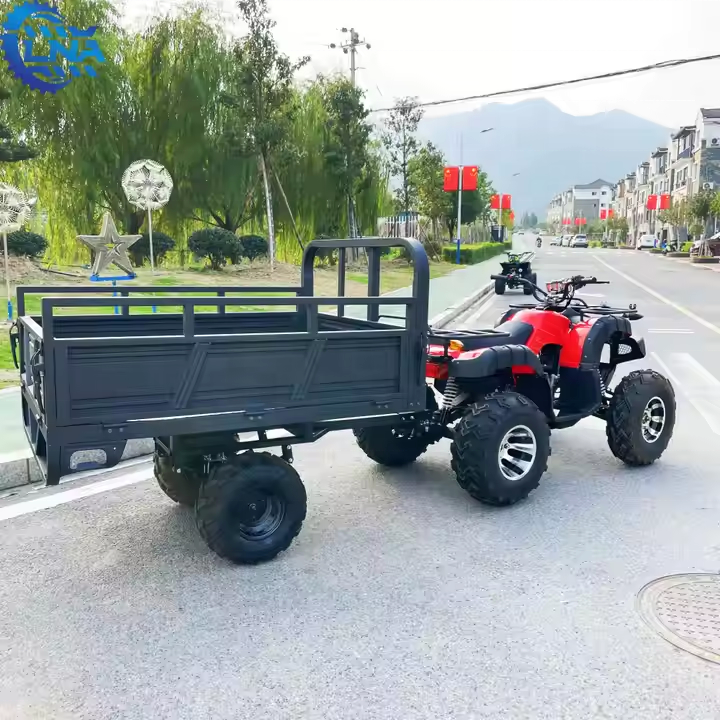 Buggy 250cc avec Remorque